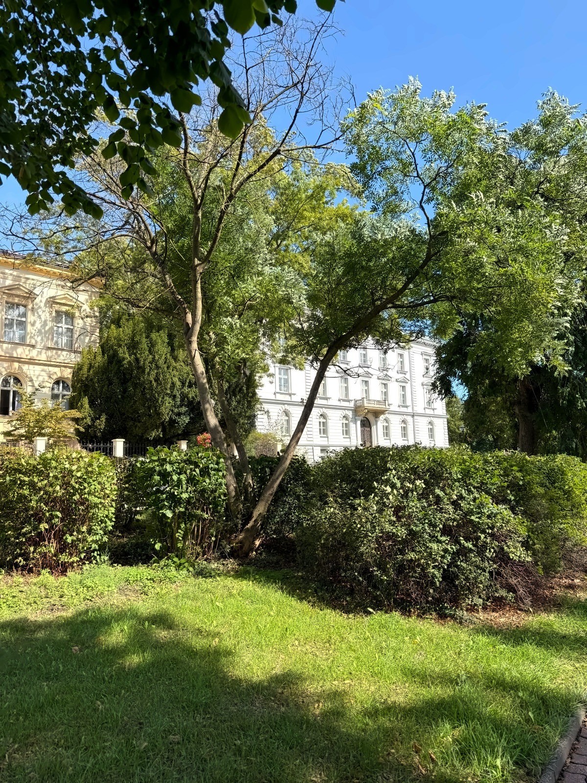 Villa Augusta ze zahrady